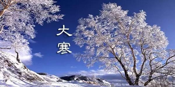 拯救机灵鸟